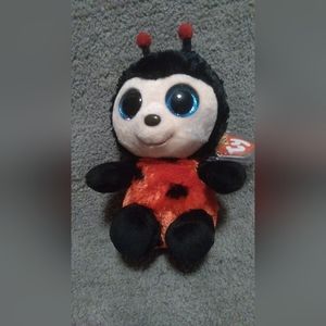 Rare Izzy The Ladybug Beanie Boo